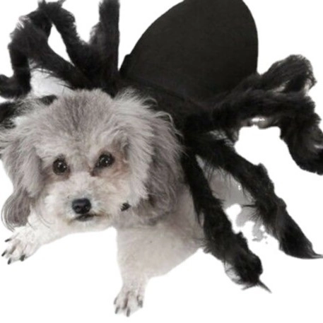 Halloween Haustier Spinne Kostüm Für Kleine Große Hunde Katzen Lustige Plüschbeine Verwandlung Verkleidung Kostüm Für Party Festival Haustier Kleidung
