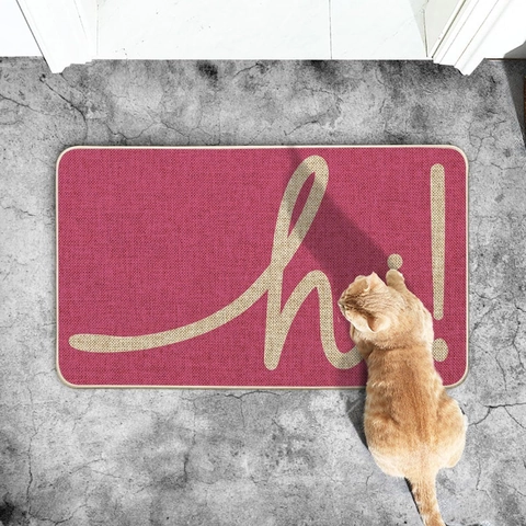 Modern Non-Slip Entrance Door Mat With Hi Lettering Durable Polyester Woven Texture Indoor Outdoor Kitchen Bathroom Floor Rug