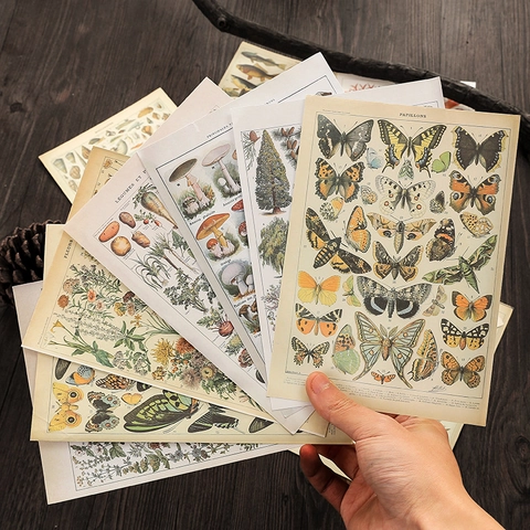 Vintage Natural History Illustration Scrapbook Paper Material French Style Botanical Butterfly Mushroom Journal Decor Paper