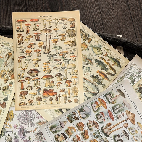 Vintage Natural History Illustration Scrapbook Paper Material French Style Botanical Butterfly Mushroom Journal Decor Paper