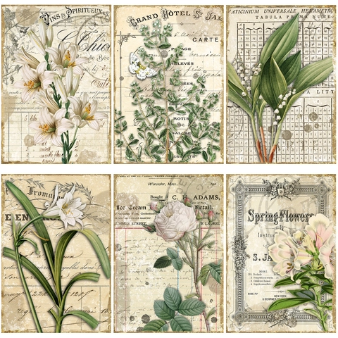 Carta Sfondo Floreale Botanico Vintage Per Scrapbooking Fai Da Te Artigianato Journaling Motivi Multipli Carta Decorativa