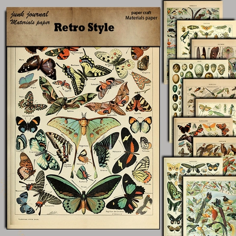 Papel de Material para Álbumes de Recortes de Historia Natural Vintage Patrón de Mariposa Insecto Pájaro Neutro Sin Ácido DIY Decorativo