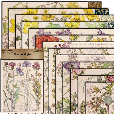 Vintage Botanisches Material Papier Britische Wildblumen Wissenschaftliche Illustration Dekoratives Papier Für Scrapbooking DIY Journaling