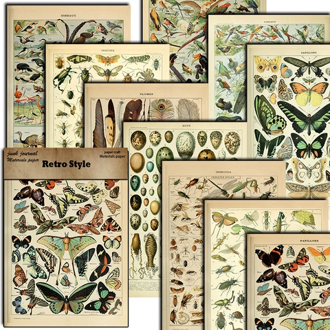 Papel de Material para Álbumes de Recortes de Historia Natural Vintage Patrón de Mariposa Insecto Pájaro Neutro Sin Ácido DIY Decorativo