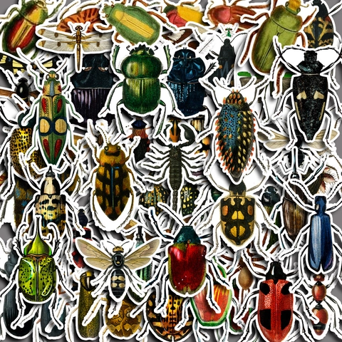 Vintage Insekten Aufkleber Wasserdicht PVC Abziehbilder Für Scrapbooking Laptop Journal Notizbuch DIY Biologische Illustration Dekoration
