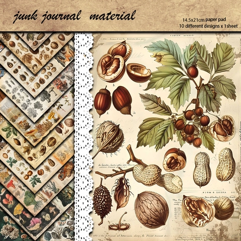 Vintage Botanisches Material Papier Set Pilz Nuss Wissenschaftliche Illustration Junk Journal Scrapbooking DIY Hintergrundpapier