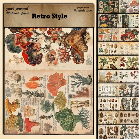 Vintage Botanisches Material Papier Set Pilz Nuss Wissenschaftliche Illustration Junk Journal Scrapbooking DIY Hintergrundpapier