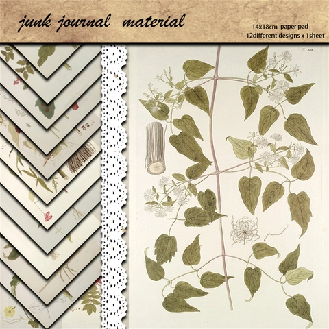 Juego de Papel de Material para Scrapbook Botánico Vintage Ilustración Floral Retro Cartulina Pesada para DIY Junk Journal Artesanía Decoración