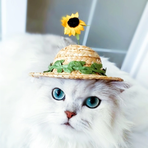 Haustier Strohhut Mit Sonnenblumen Dekoration Verstellbarer Sommer Sonnenschutzhut Für Katzen Kleine Hunde Pastoraler Stil Foto Requisiten