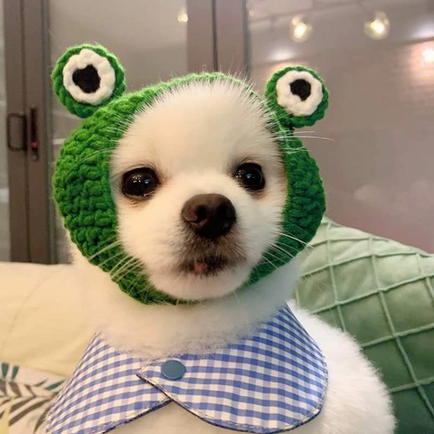Divertido Sombrero de Rana para Mascotas Ganchillo Algodón Tejido Gorro Lindo Disfraz de Animal Verde para Gatos Perros Cosplay
