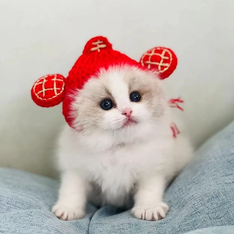 Sombrero de Punto para Mascotas Hecho a Mano Rojo Festivo Ganchillo para Gatos Con Diseño de Orejas Bordadas en Oro