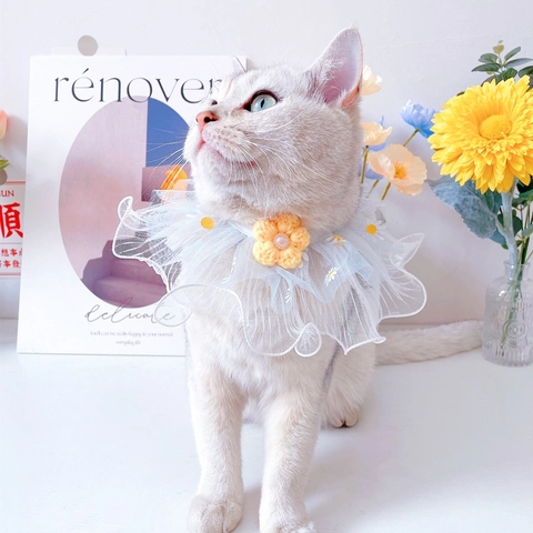 Collare in Pizzo con Fiori per Animali Domestici Bavaglino in Rete con Fiore all'Uncinetto Perla Artificial per Gatti Cani Piccoli