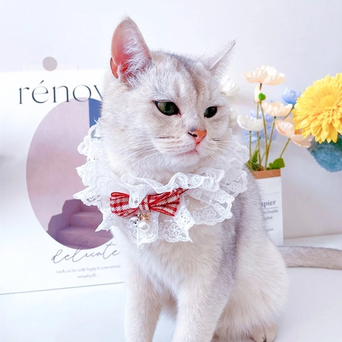 Karierte Schleife Spitze Haustier Halsband Mit Glocke Künstliche Perlenimitat Dekoratives Lätzchen Halskette Für Katzen Kleine Hunde Kostüm Zubehör