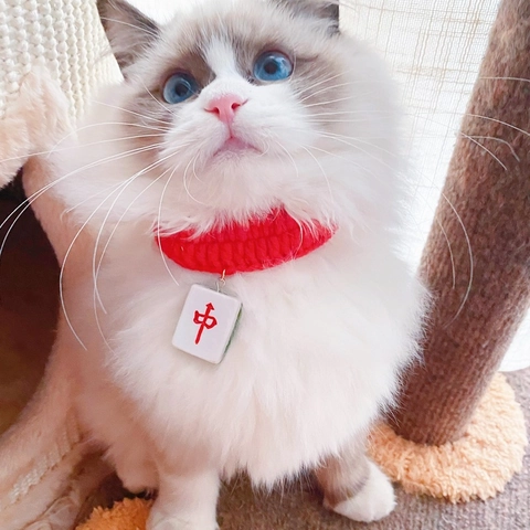Collare per Animali Domestici in Maglia Rossa Con Ciondolo Mahjong Stile Cinese Divertente Cinturino al Collo all'Uncinetto per Gatti Cani Piccoli Regalo di Capodanno