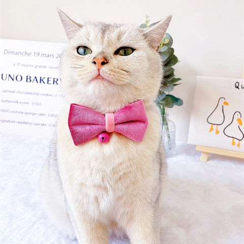 Verstellbares Samt Haustier Fliege Halsband Mit Glocke Süße Rosa Rosarote Schleife Katze Hund Halskette Für Kleine Hunde Katzen Welpen Dekoration