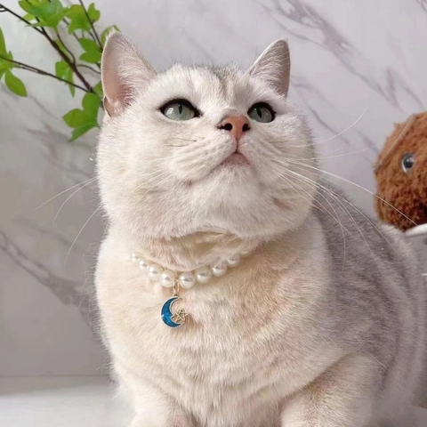Elegante Huisdier Parel Ketting Met Sterrenhemel Maan Saturnus Hanger Verstelbare Dromerige Prinses Stijl Sieraden Halsband Voor Katten Honden