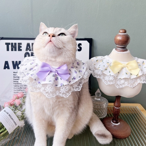 Florales Spitzen Haustierhalsband Süß Koreanischer Stil Katzen Lätzchen Mit Schleife Verstellbares Speicheltuch Für Kleine Hunde