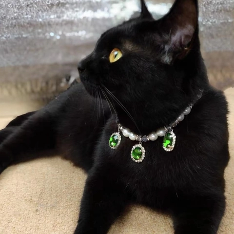 Collar de Perlas Lujoso para Mascotas Colgante de Gema Artificial Diamante de Imitación Estilo Princesa Joyería para Perros y Gatos