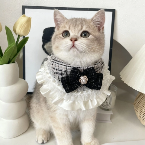 Elegante Bufanda de Tweed Para Mascotas Con Perlas Artificiales Lazo Camelia Detalle Estilo Francés De Lujo Collar Perro Gato Para Cumpleaños