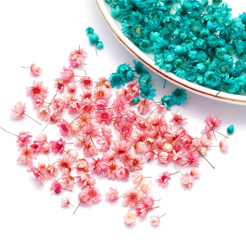 Natural Dried Brazilian Star Flowers Mini Floral Heads For DIY Resin Crafts Wedding Party Home Decoration Multi Colored