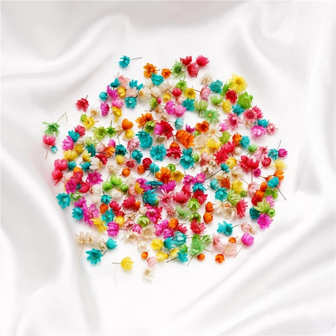 Natural Dried Brazilian Star Flowers Mini Floral Heads For DIY Resin Crafts Wedding Party Home Decoration Multi Colored