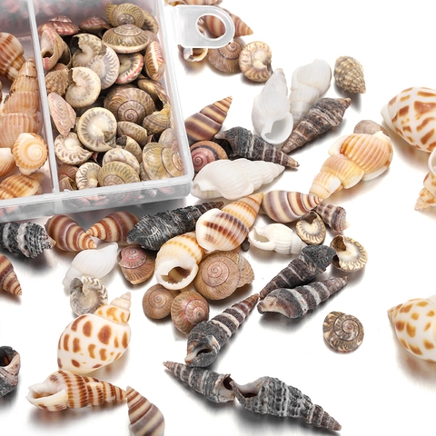 Ensemble de Coquillages Naturels et Conques avec Boîte de Rangement en Plastique pour DIY Artisanat Décoration Maison Aquarium