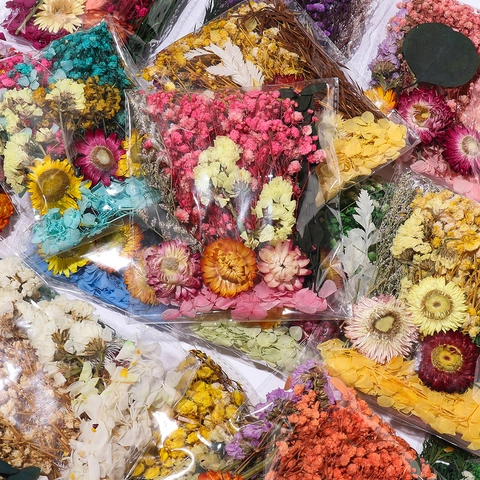 Fleurs Séchées Naturelles Matériau pour Bricolage Résine Bijoux Bougies Décoration Maison Accessoires Botaniques Plantes Séchées Teintes