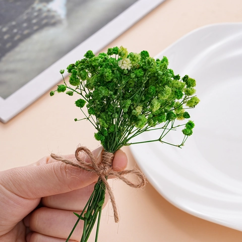 Mini Trockenblumenstrauß Schleierkraut Handgefertigt Ewige Blumen Für Wohndekoration Hochzeit Geschenk Fotografie Requisiten Ornament