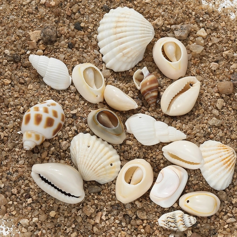 Natural Sea Shell Conch Pendants Gold Rimmed Drilled Scallop Cowrie Shell Beads For DIY Jewelry Making Necklaces Accessories