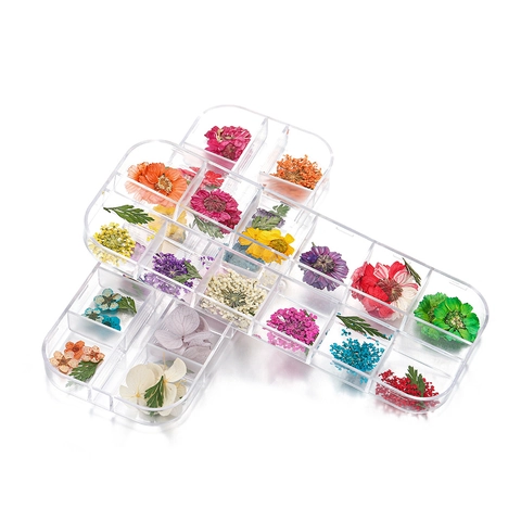 Fiori Secchi Misti Naturali Per Decorazione Nail Art Fai Da Te Elementi Botanici Colorati In Contenitore Per Creazione Gioielli Resina Accessori Casa