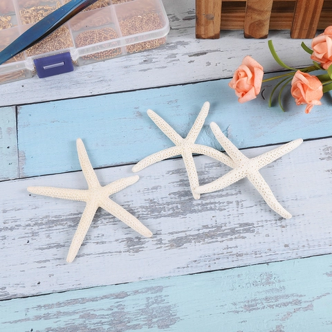 Stella Marina Naturale a Cinque Dita Stile Mediterraneo Decorazioni Casa Acquario Paesaggistica Matrimonio Fai da Te Gioielli Stella Bianca