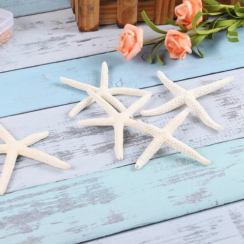 Stella Marina Naturale a Cinque Dita Stile Mediterraneo Decorazioni Casa Acquario Paesaggistica Matrimonio Fai da Te Gioielli Stella Bianca