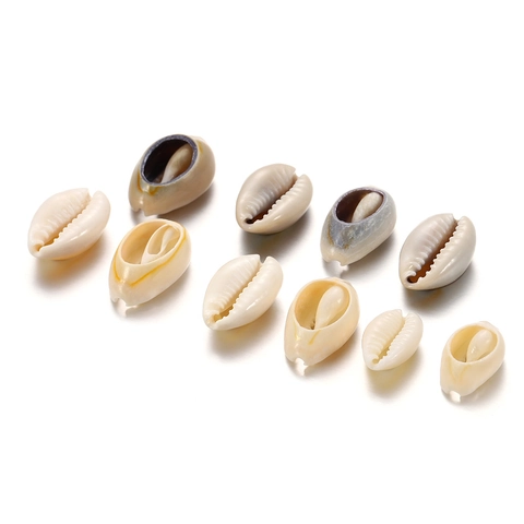 Natural Cowrie Shell Beads For DIY Jewelry Making Necklaces Bracelets Earrings Beach Nautical Theme Decorative Shell Accessories