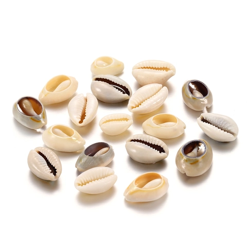 Natural Cowrie Shell Beads For DIY Jewelry Making Necklaces Bracelets Earrings Beach Nautical Theme Decorative Shell Accessories