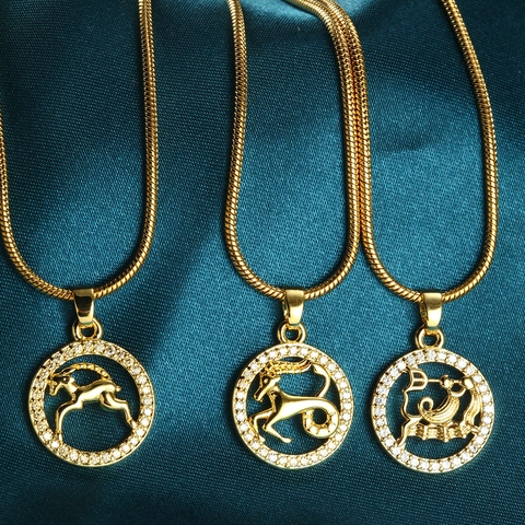 Zodiac Sign Necklace For Women Gold Plated Stainless Steel Snake Chain Round Pendant With Copper Zirconia Inlaid Jewelry Gift