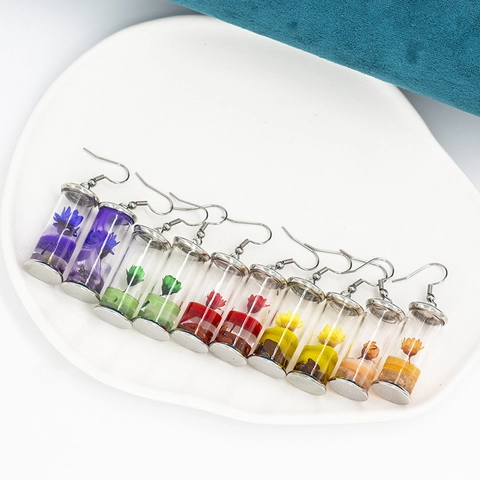 Creative Dried Flower Glass Bottle Dangle Earrings Silver Plated Alloy Hook Transparent Cylindrical Jewelry For Women