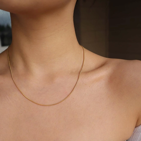 Minimalistische Schlangenknochenkette Halskette Aus Edelstahl Für Damen Gold Silber Plattiert Hip Hop Modeschmuck Für Den Alltag