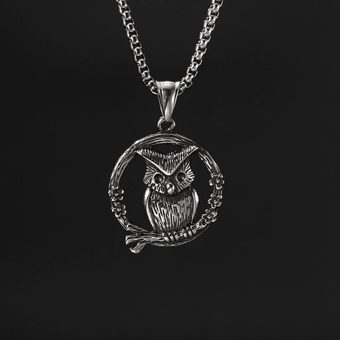 Vintage Roestvrij Staal Uil Hanger Halsketting Voor Heren Retro Dier Hip Hop Sieraden Met Box Ketting Zilver