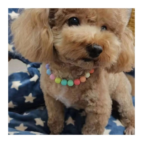 Adjustable Resin Macaron Beads Pet Necklace For Dogs Cats Candy Color Colorful Cute Puppy Kitten Jewelry Decorative Collar