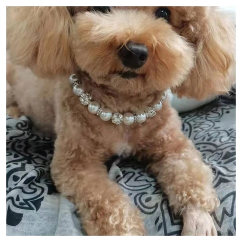 Elegante Huisdier Kunstparel Ketting Met Strass Pave Bal Verstelbare Hondenhalsband Voor Katten Honden Stijlvolle Huisdier Sieraden Accessoire