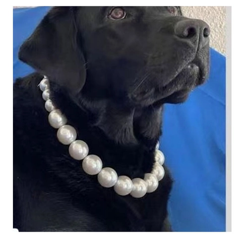 Süße Künstliche Perle Haustier Halskette Verstellbarer Schmuck Hundehalsband Für Kleine Mittlere Hunde Weißes Accessoire