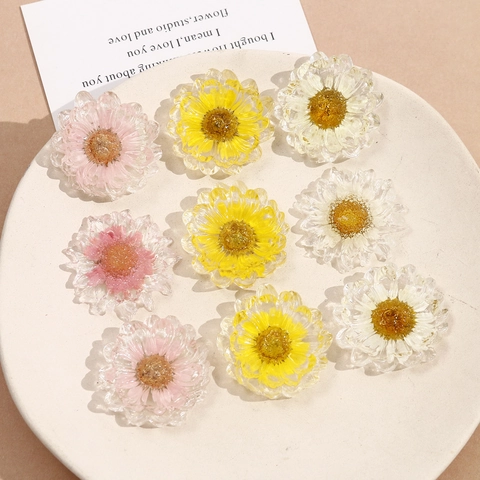 Dolci e Fresche Margherite Fiori Secchi in Resina Patch Fai da Te Accessori per Gioielli per Orecchini Fermagli Capelli Custodie Cellulari Ciondoli Floreali