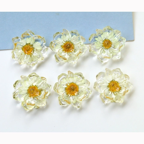 Japanischer Stil Transparent Harz Gänseblümchen Trockenblumen DIY Zubehör Für Ohrringe Haarnadeln Handyhüllen Schmuckbedarf