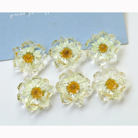 Japanischer Stil Transparent Harz Gänseblümchen Trockenblumen DIY Zubehör Für Ohrringe Haarnadeln Handyhüllen Schmuckbedarf