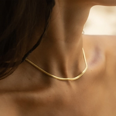 Minimalistische 18K Vergoldete Edelstahl Schlangenkette Halskette Für Damen Mode Flache Schlangenknochenkette Choker Schmuck