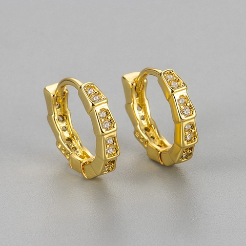 Bamboo Snake Scale Hoop Earrings For Women Gold Silver Plated Copper With 925 Sterling Silver Earring Post Zirconia Jewelry