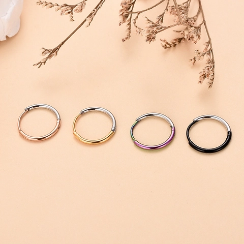 Edelstahl Zweifarbig Scharnier Ohrringe Rund Geometrischer Piercing Schmuck Für Damen Gold Roségold Schwarz Regenbogen Geschenk