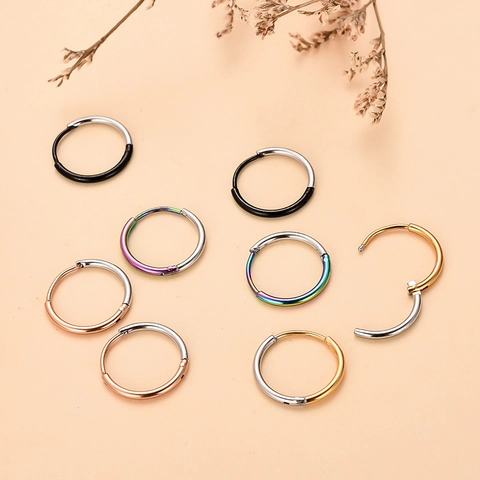 Edelstahl Zweifarbig Scharnier Ohrringe Rund Geometrischer Piercing Schmuck Für Damen Gold Roségold Schwarz Regenbogen Geschenk