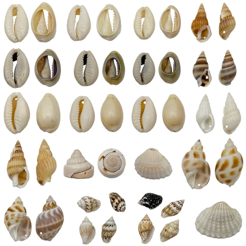 Natural Sea Shell Conch Pendants For DIY Jewelry Making Necklace Keychain Accessories Handmade Ocean Spiral Cowrie Charms