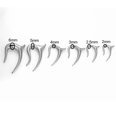 316L Roestvrijstalen Onregelmatige Hoornvorm Oormaten Gewichten Piercing Sieraden Unisex Minimalistische Zilveren Oorbellen
